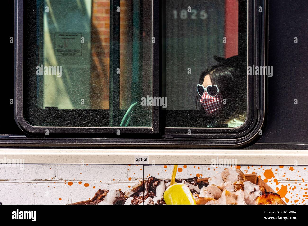 Montreal, CA - 20. Mai 2020: STM-Buspassagier mit Gesichtsmaske während der Covid 19-Pandemie Stockfoto