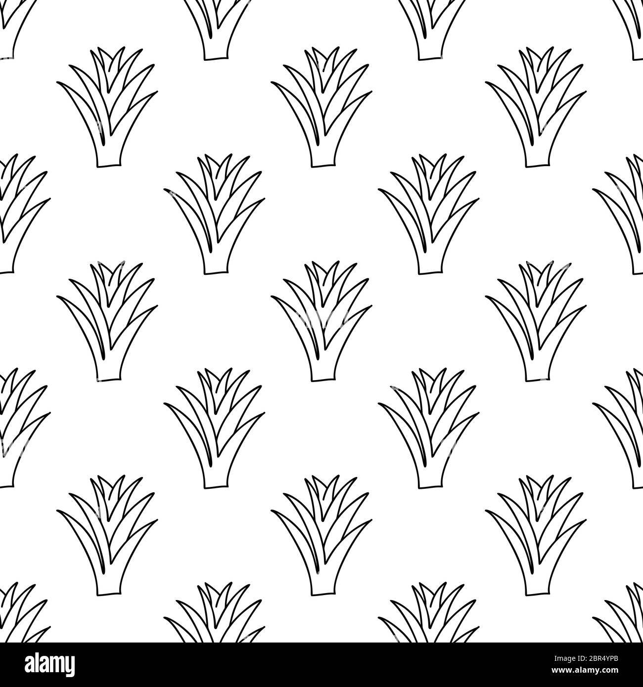 Doodle Aloe Vera Pflanze. Florales Nahtloses Muster. Isoliert auf weißem Hintergrund. Vektorgrafik. Stock Vektor