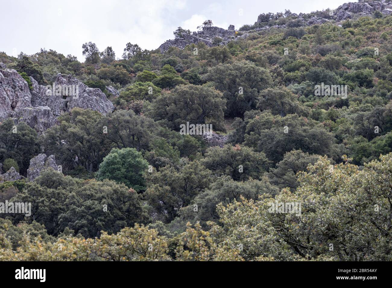 Blick auf Toledo Stadt in Sapin Stockfoto