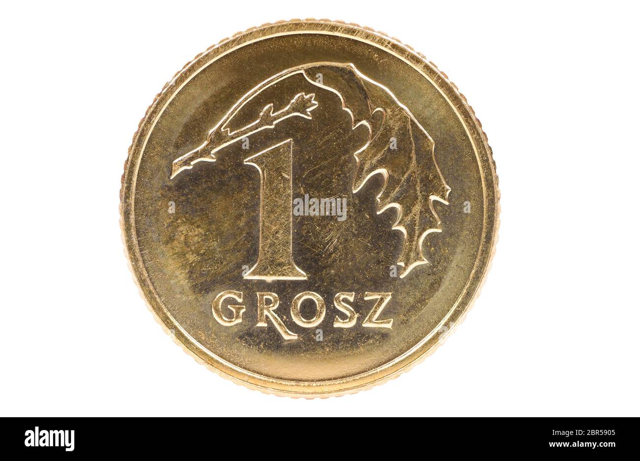 Nahaufnahme der 1 polnischen Grosz Münze auf weißem Hintergrund mit Freistellungspfad isoliert Stockfoto