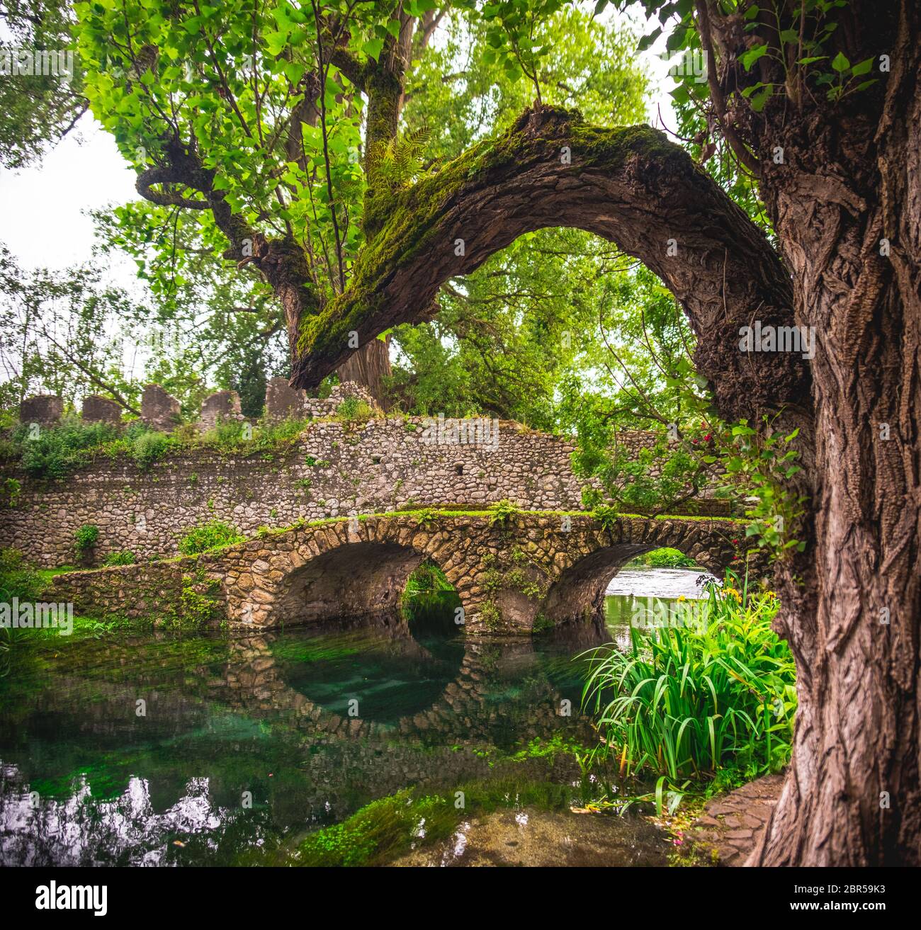 Fantasy Fluss Brücke Baum Stamm Zweig . Stockfoto