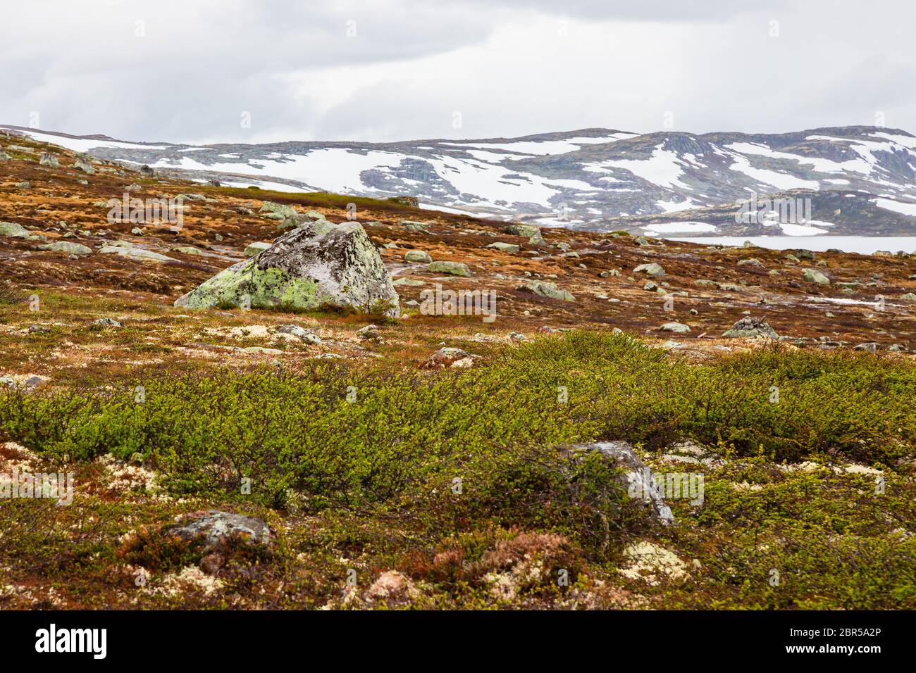 Norwegen Landschaften. Schönen bergigen Landschaft rund um Norwegischen Fjord in sonniger Tag. Schöne Natur Norwegen natürliche Landschaft. Norwegische Klima. Stockfoto