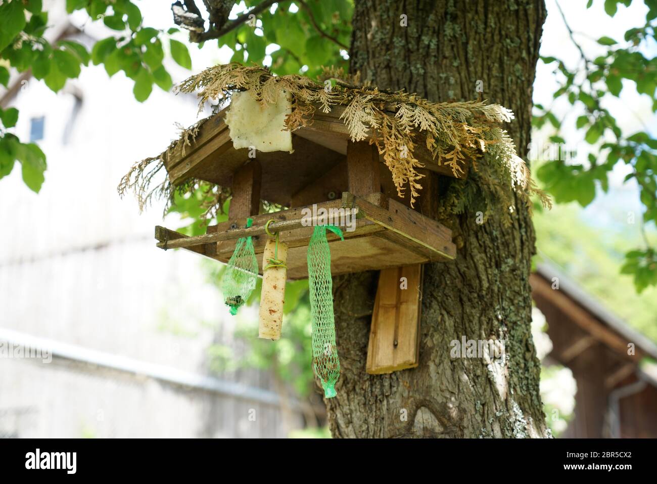 Vogelhaus im Sommer von Vögeln und ohne Futter verlassen Stockfotografie -  Alamy