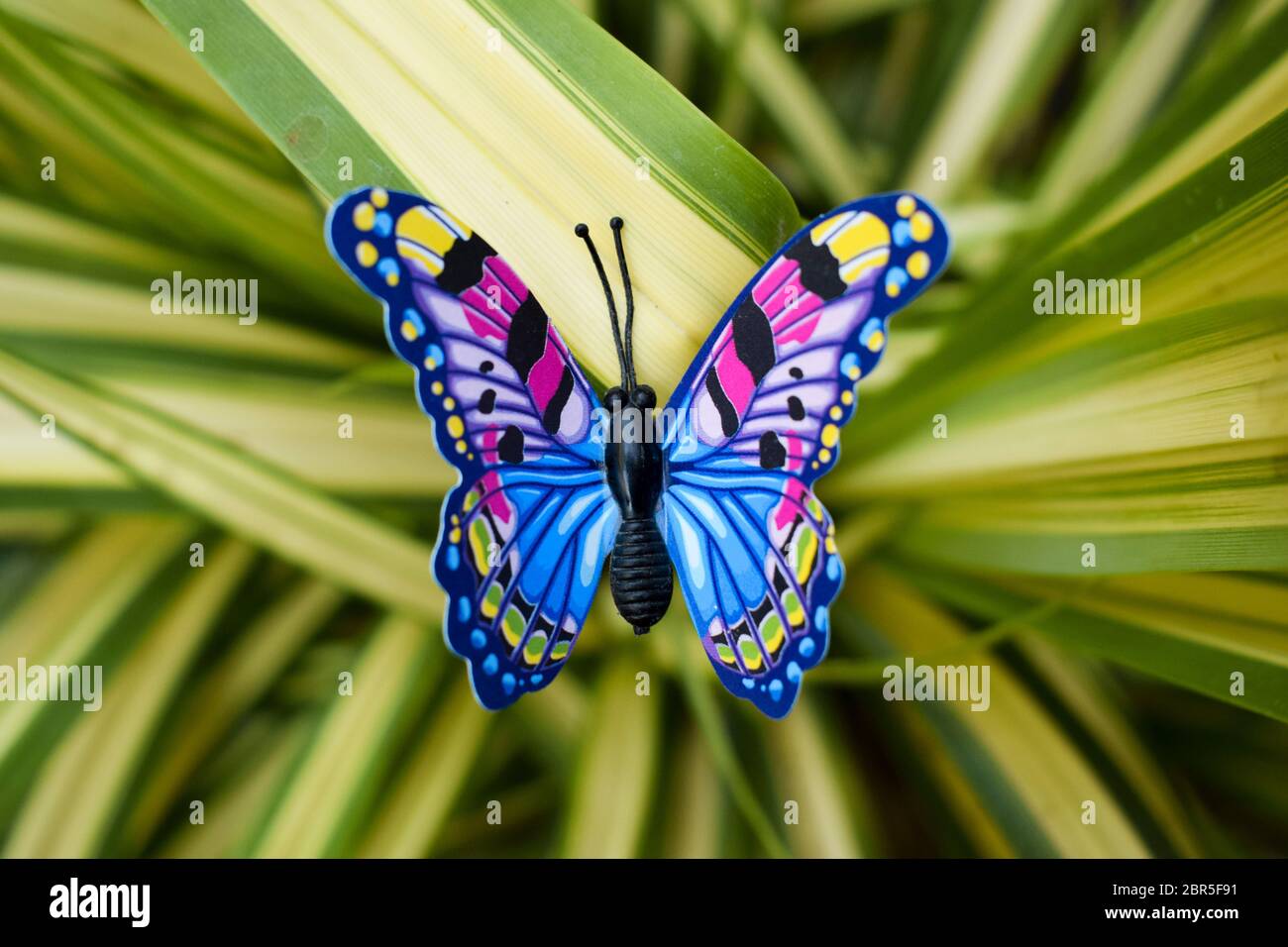 Niedliche blau und gelb diy Schmetterling, knstliche geflschte Kunststoff  Schmetterling auf echte Spinne Efeu Pflanze, Rasen Dekoration Artikel  Schmetterling 3d geschichteten Aufkleber. Kunst Stockfotografie - Alamy
