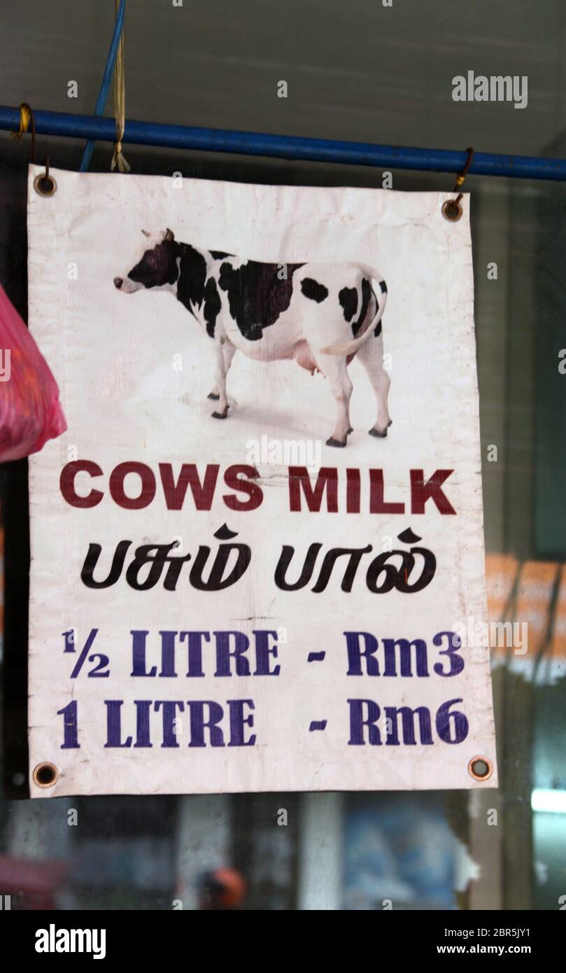 Kühe Milch zum Verkauf in Malaysia Stockfoto