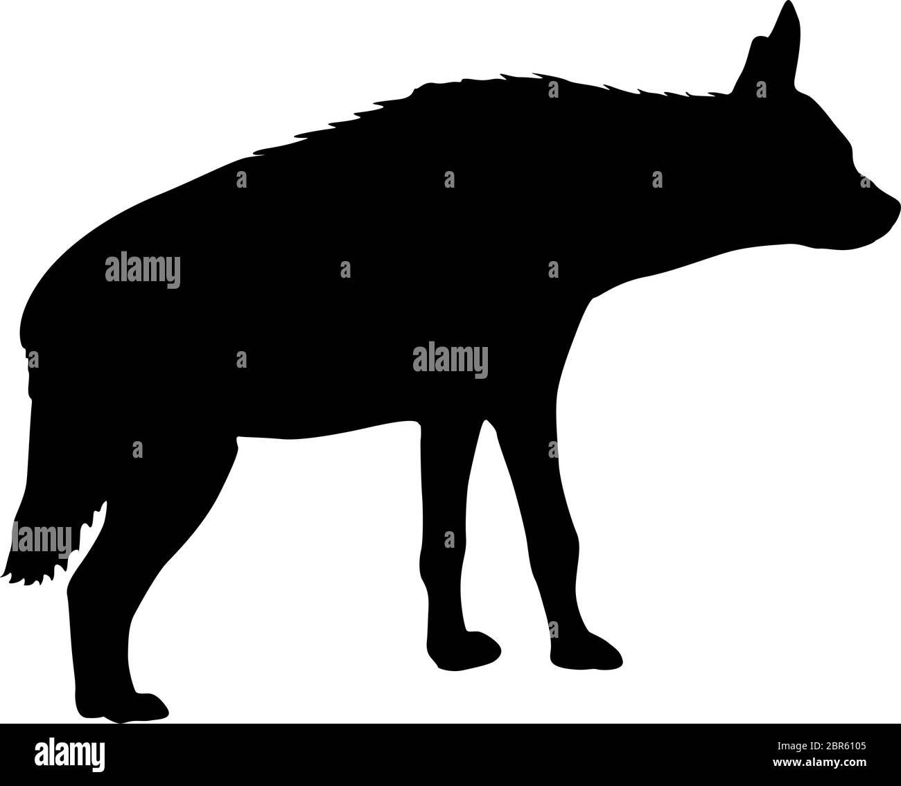 Silhouette der eingetopften Hyäne auf weißem Hintergrund. Stock Vektor