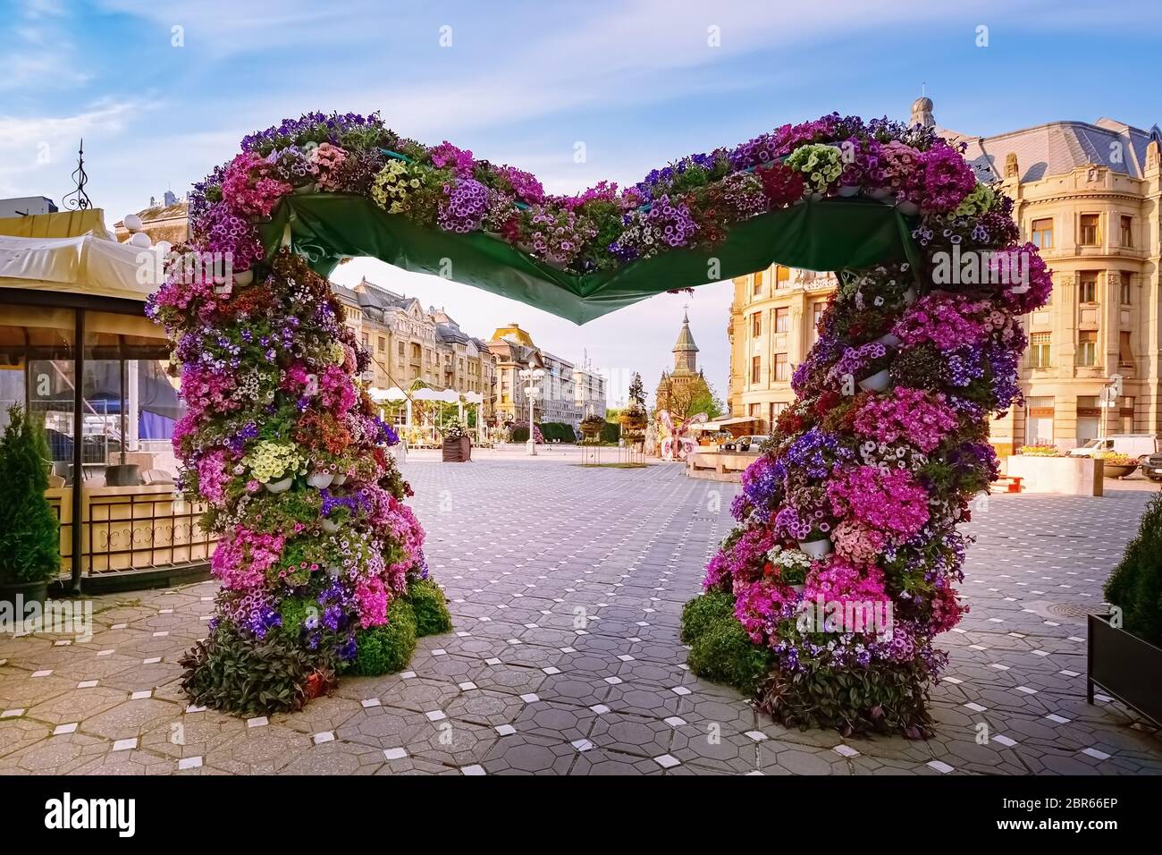 Blumenbogen auf dem Siegesplatz (Piata Libertatii) in Timisoara, Rumänien Stockfoto