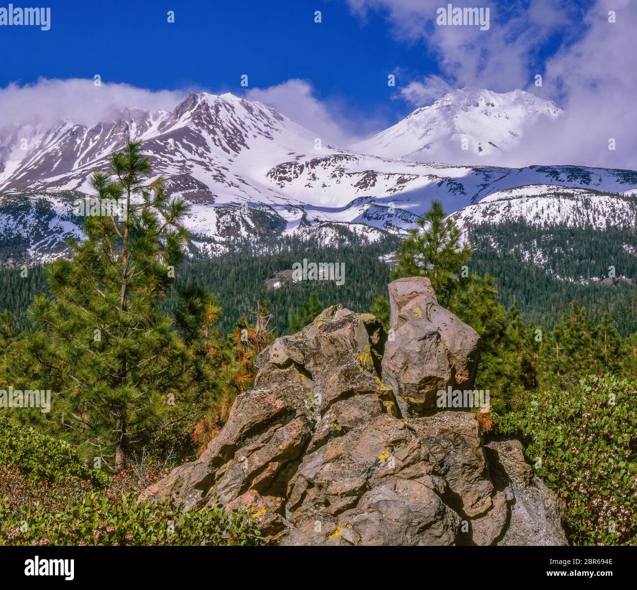 Shastina, Mount Shasta, Shasta-Trinity National Forest, Kalifornien Stockfoto