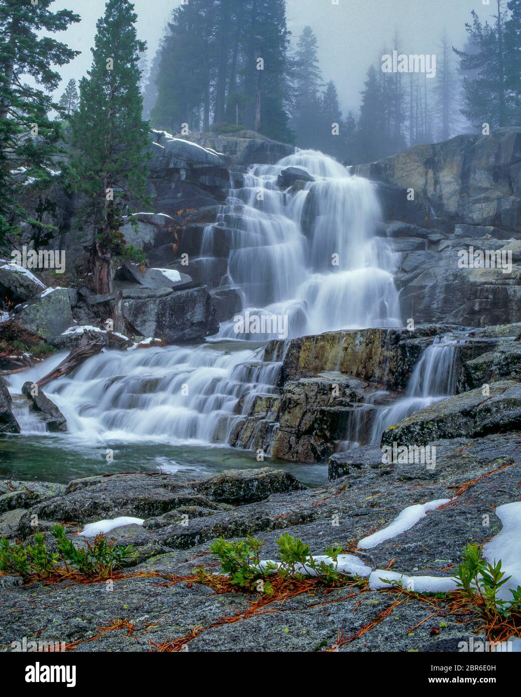 Canyon Creek Falls, Trinity Alps, Shasta-Trinity National Forest, Kalifornien Stockfoto