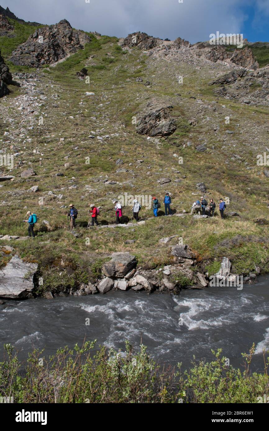 Geführte Wanderer auf einer Gruppenwanderung auf dem Savage River Loop Trail im Denali Nationalpark, Alaska, USA Stockfoto