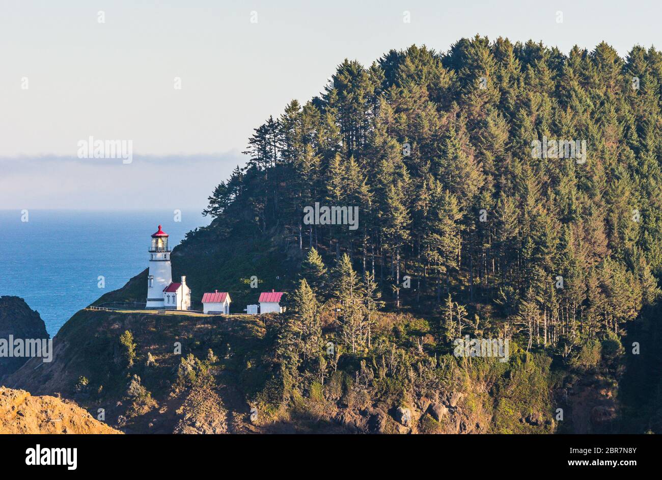 Einige malerische Aussicht auf den Strand in Heceta Head Lighthouse State Scenic Area, Oregon, USA. Stockfoto