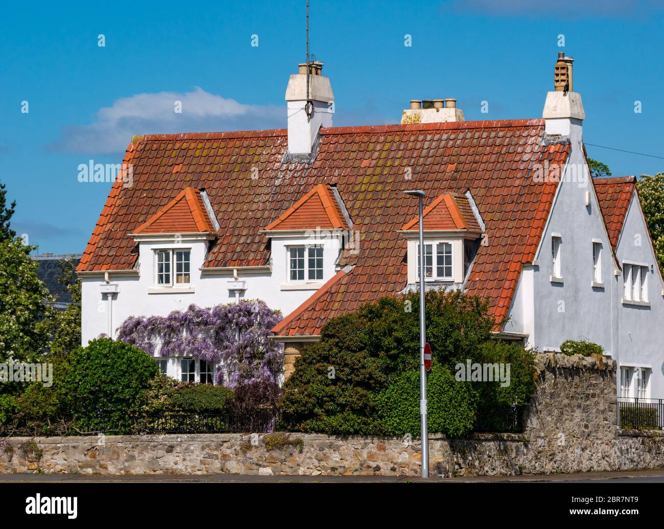 Haus mit Pantieldach und Glyzinien Kletterpflanze in Blüte, Gullane, East Lothian, Schottland, Großbritannien Stockfoto