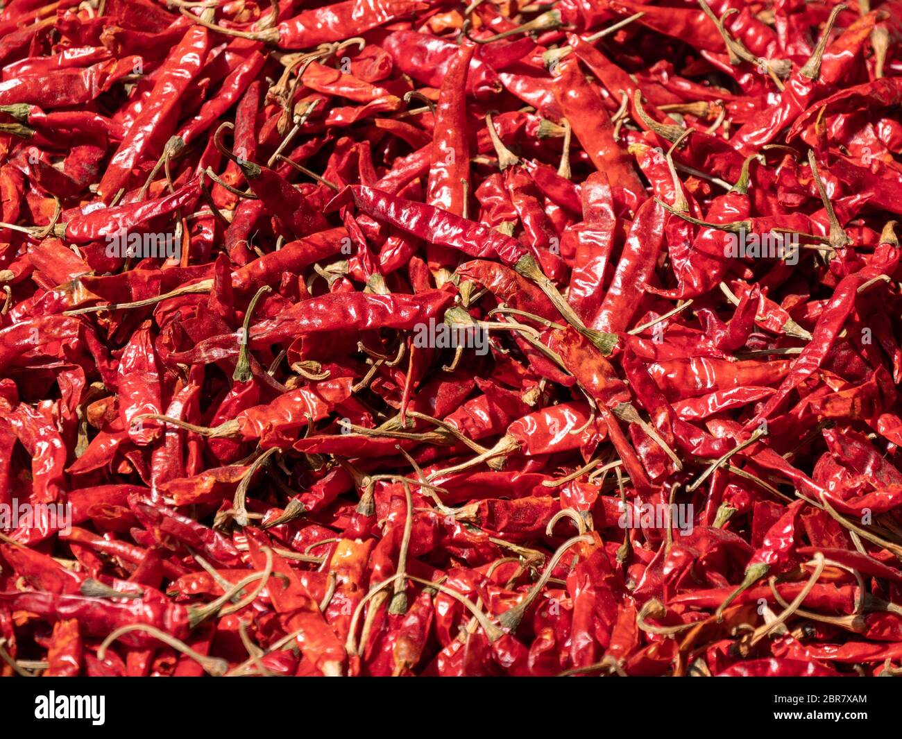 Nahaufnahme einer Tüte getrockneter roter Chili auf dem Gewürzmarkt von Alt-delhi Stockfoto