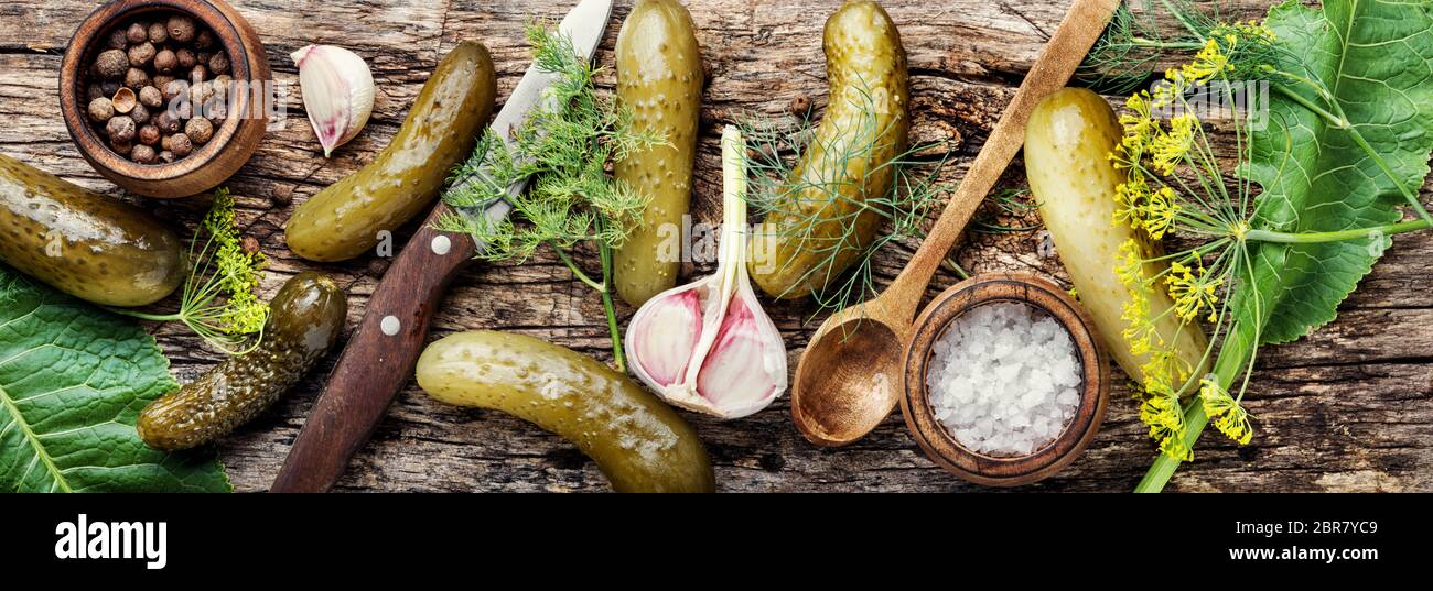 Marinierte Salzgurken. Gewürzgurken mit Kräutern und Gewürzen. Zutaten zum Kochen Gewürzgurken Stockfoto