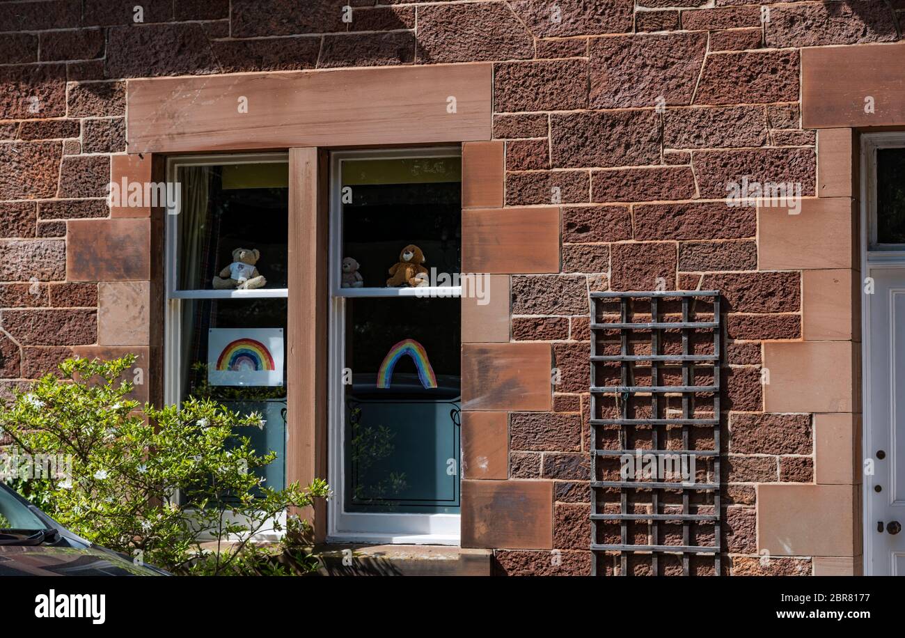 Regenbogenzeichnungen & Teddybären im Fenster in Covid-19 Sperrung der Pandemie des Coronavirus, North Berwick, East Lothian, Schottland, Großbritannien Stockfoto