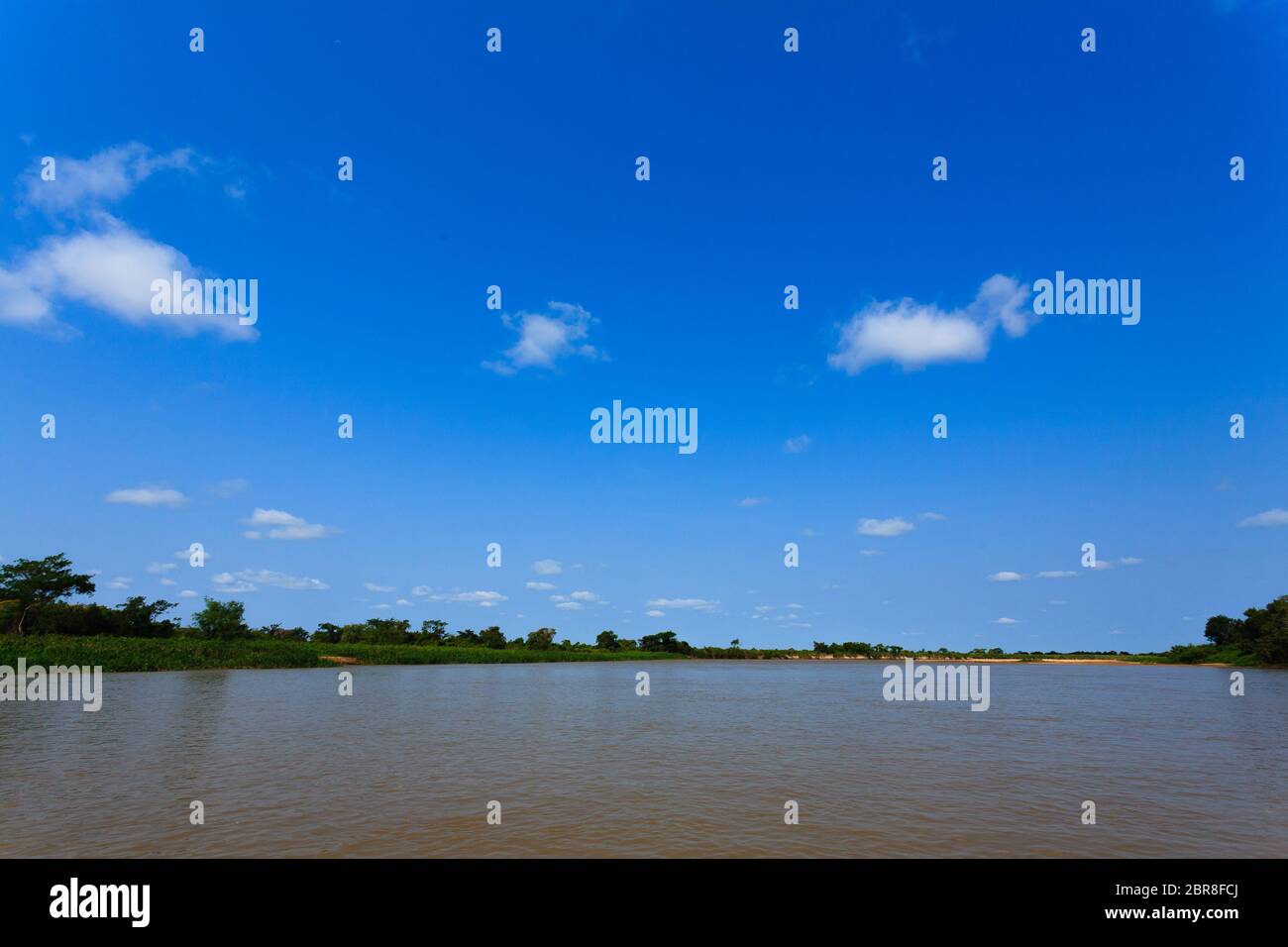 Panorama vom Pantanal, brasilianische Feuchtgebiet Region. Schiffbaren Lagune. Südamerika-Wahrzeichen Stockfoto