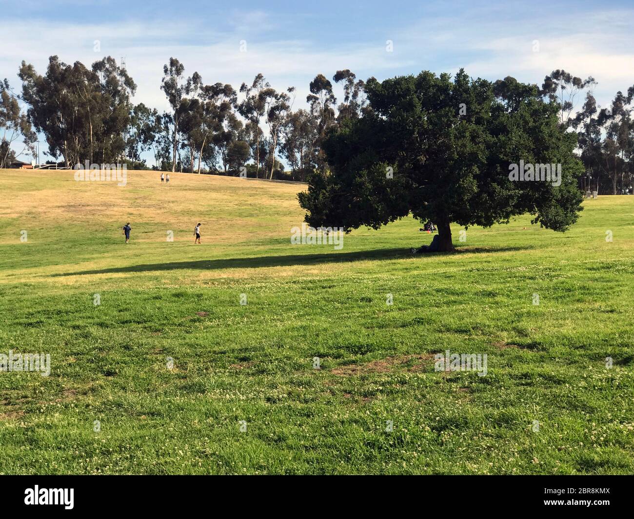 Kenneth Hahn State Recreation Area bietet Freiflächen in der Mitte eines dicht besiedelten Gebietes in der Baldwin Hills Area von Los Angeles, CA Stockfoto