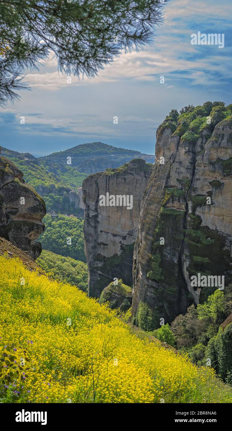 Wiese von gelben Blumen unter den felsigen Landschaft von Meteora, Trikala, Griechenland Stockfoto