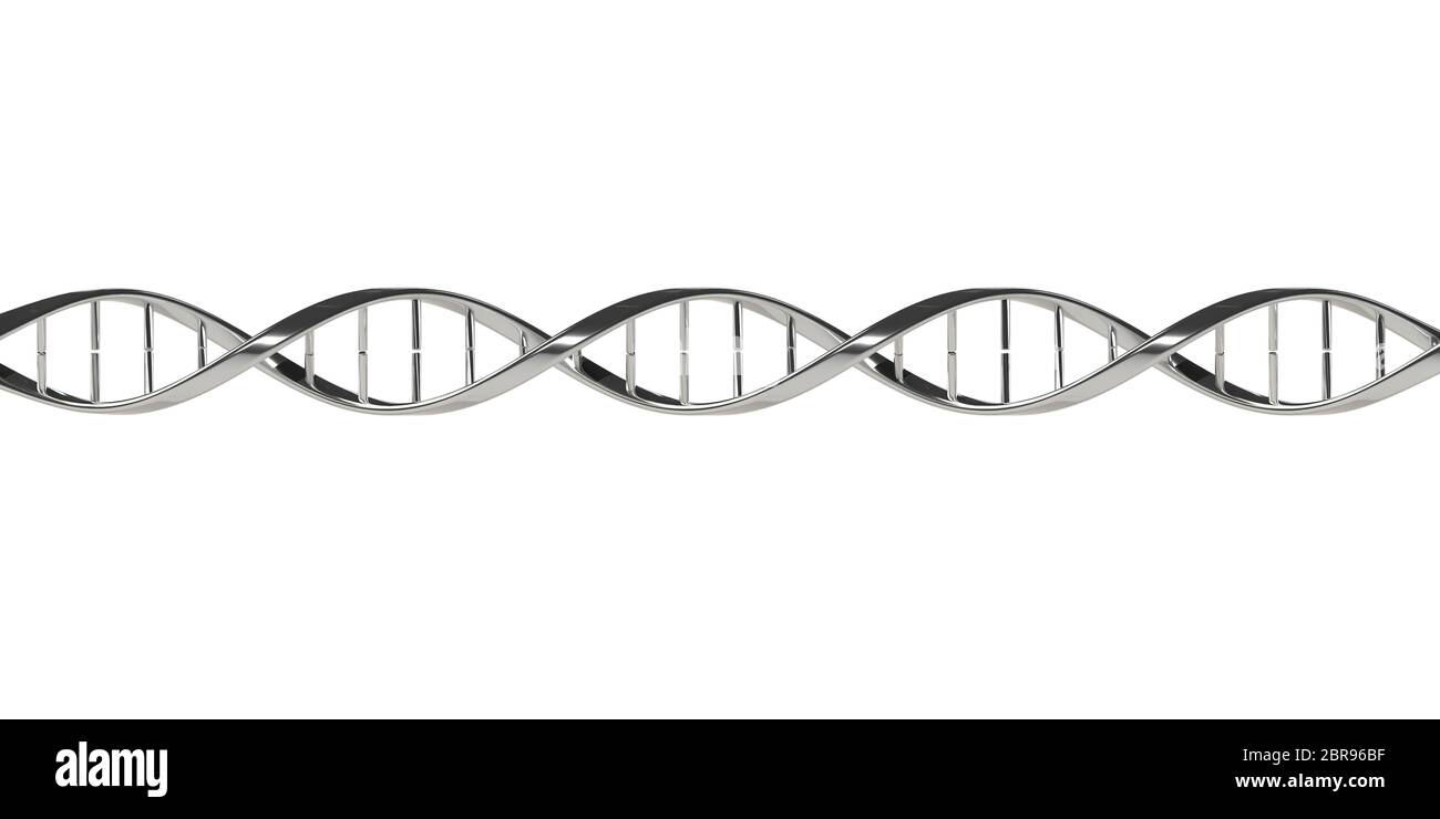 DNA-Modell der medizinischen Wissenschaft Stockfoto