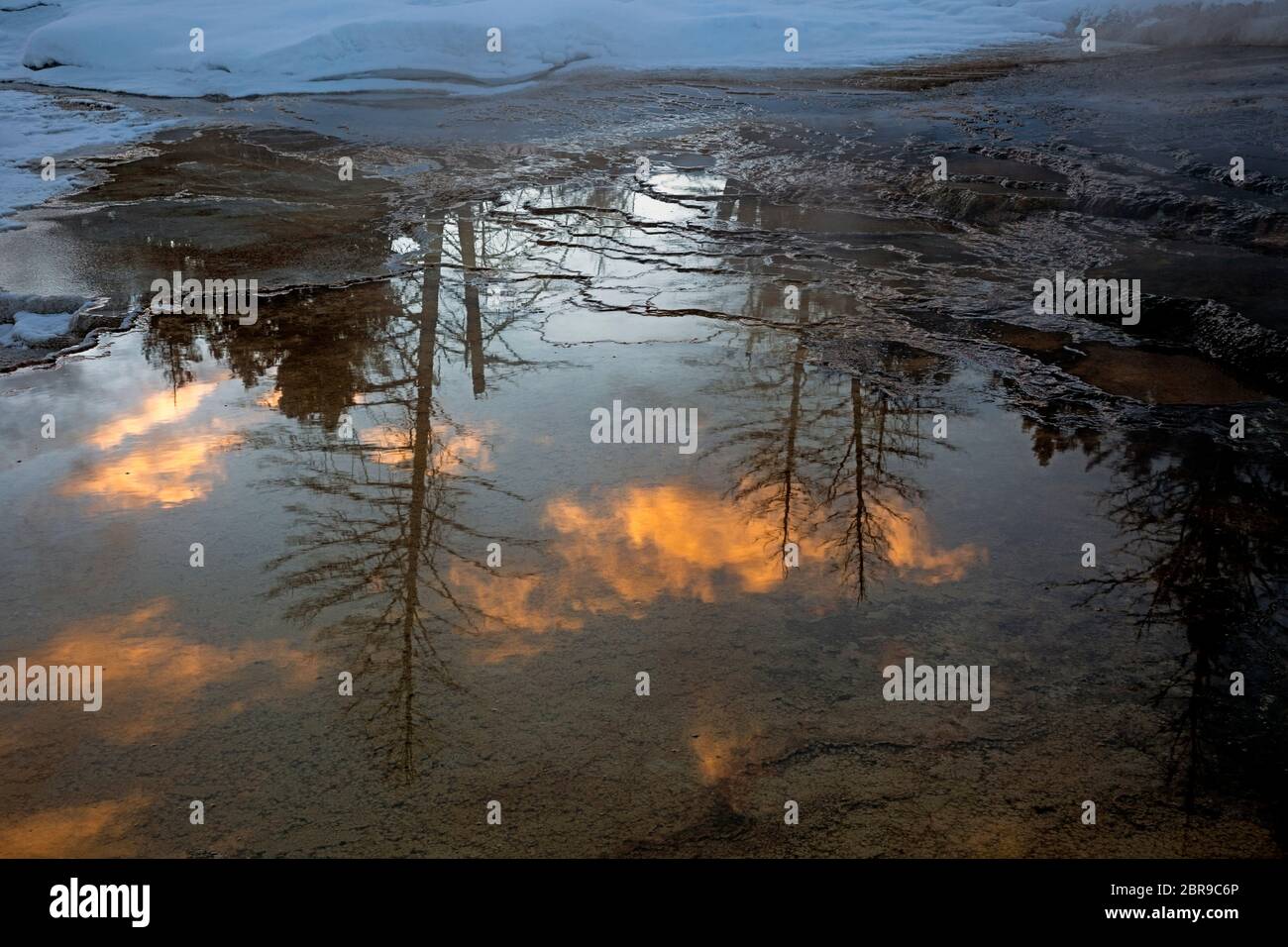 WY04496-00...WYOMING - Sonnenaufgang im ruhigen Wasser von Dryad Spring bei Mammoth Hot Springs im Yellowstone Nationalpark. Stockfoto
