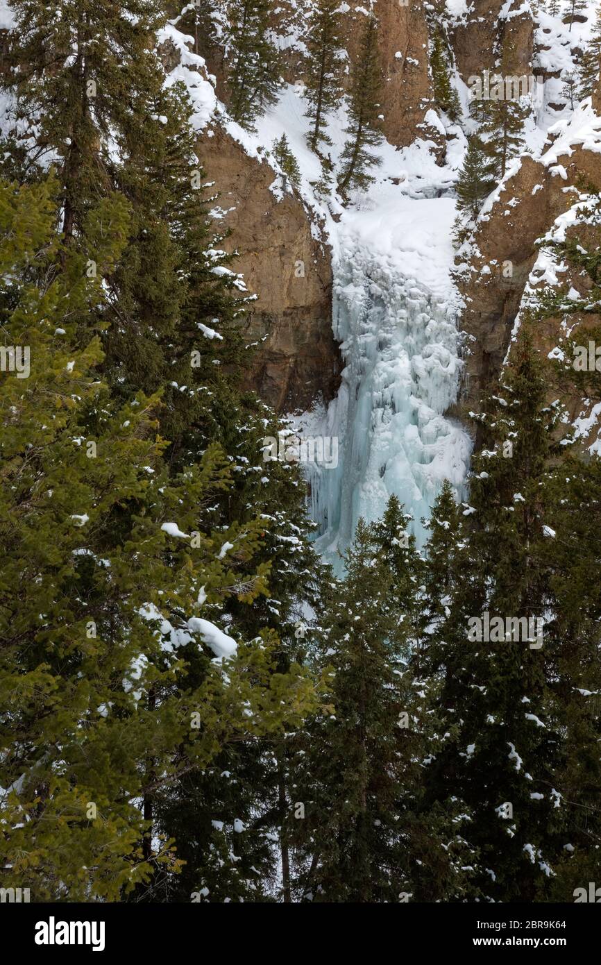 WY04543-00...WYOMING - Eis und Schnee bedeckt Tower Falls, beliebtes Winterziel im Yellowstone Nationalpark. Stockfoto