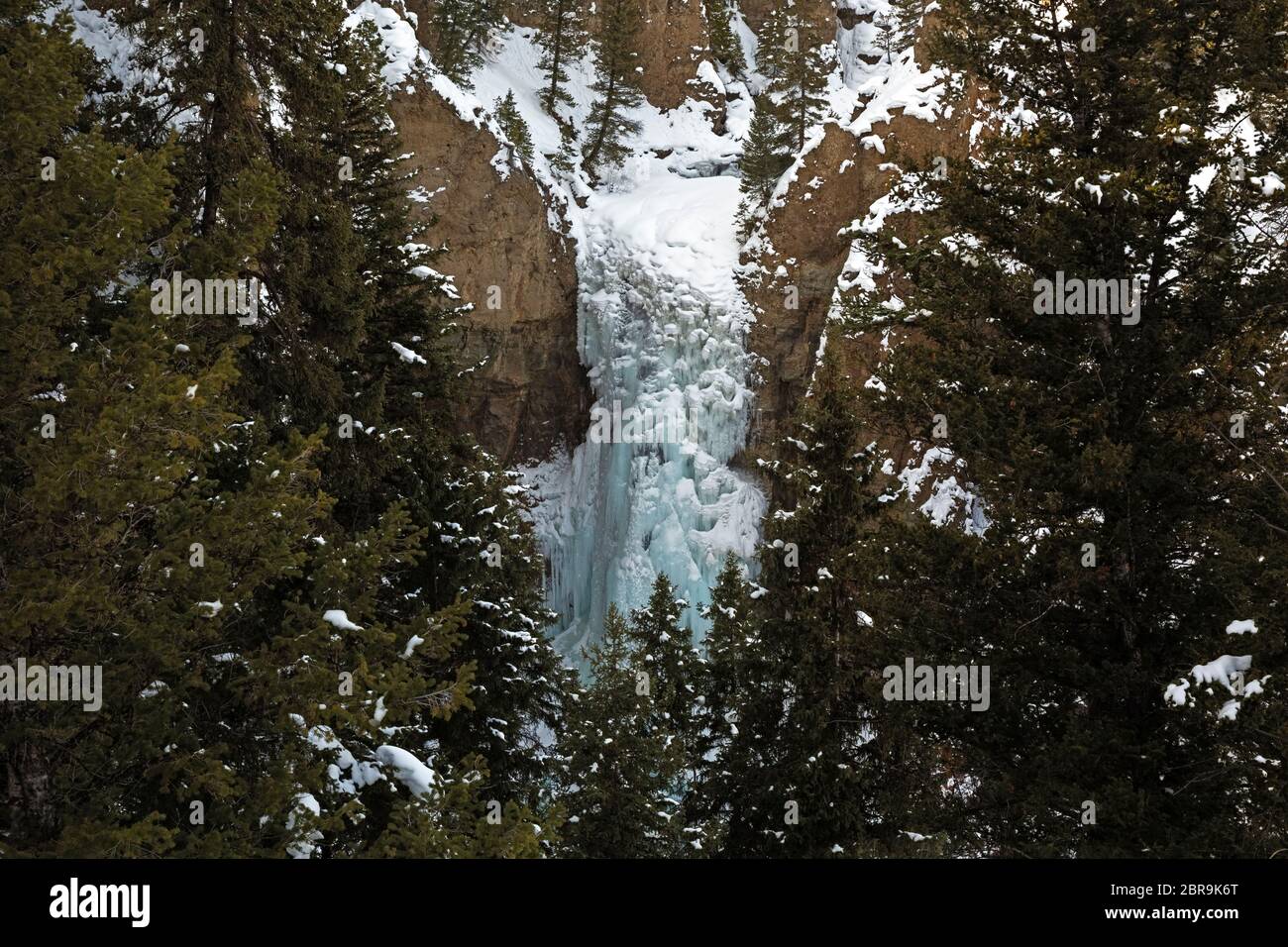 WY04544-00...WYOMING - Eis und Schnee bedeckt Tower Falls, beliebtes Winterziel im Yellowstone Nationalpark. Stockfoto