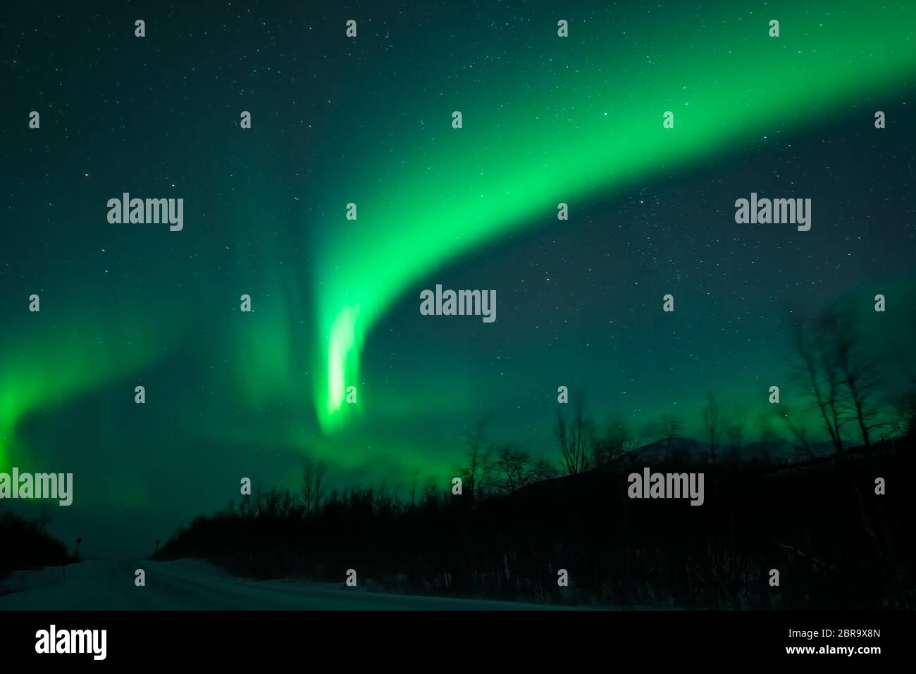 Ehrfürchtige Anzeige der Aurora Borealis - das Nordlicht über leere Schnee Straße in Norwegen und Finnland Stockfoto