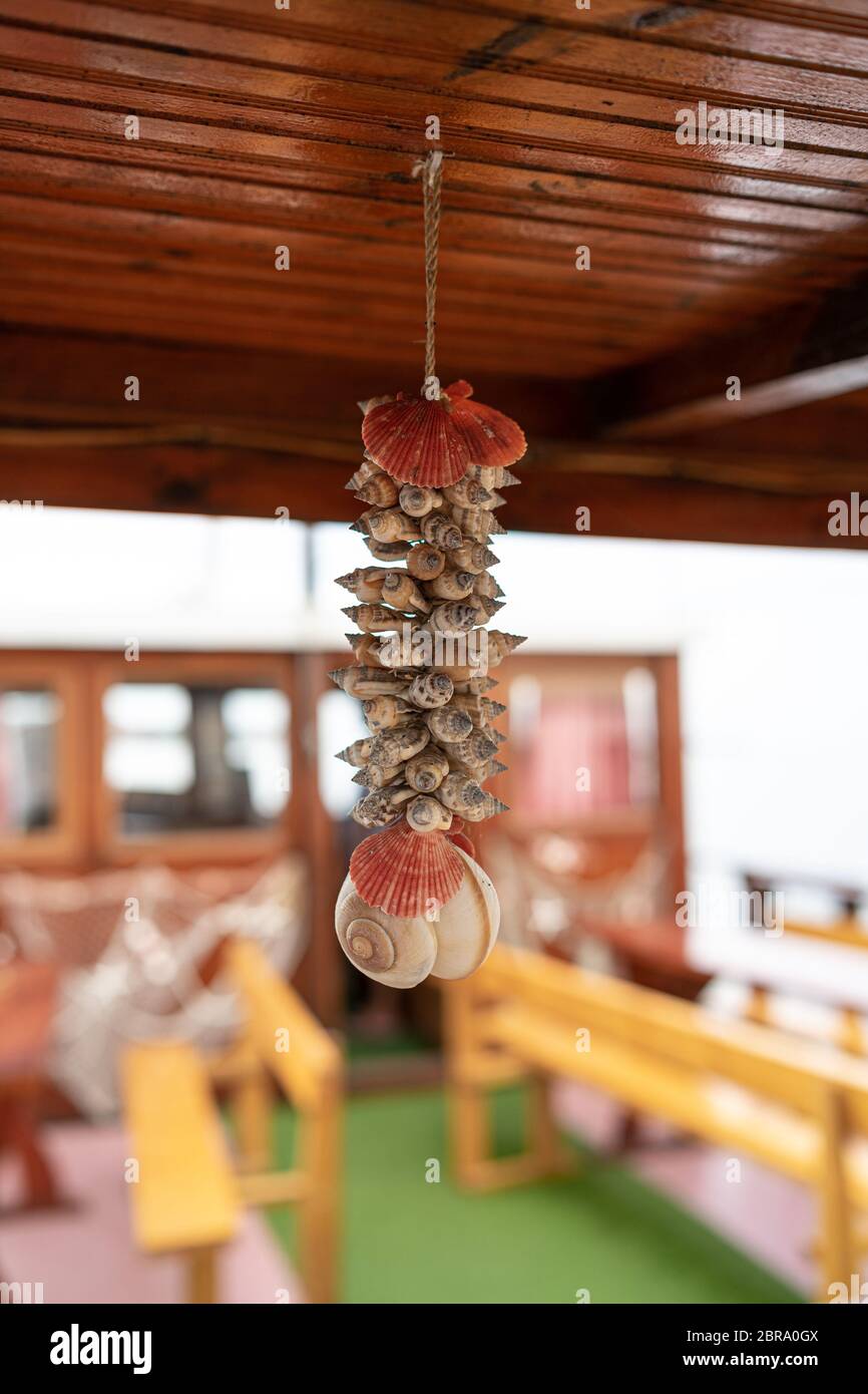 Verschiedene Muscheln als Element der Inneneinrichtung. Stockfoto