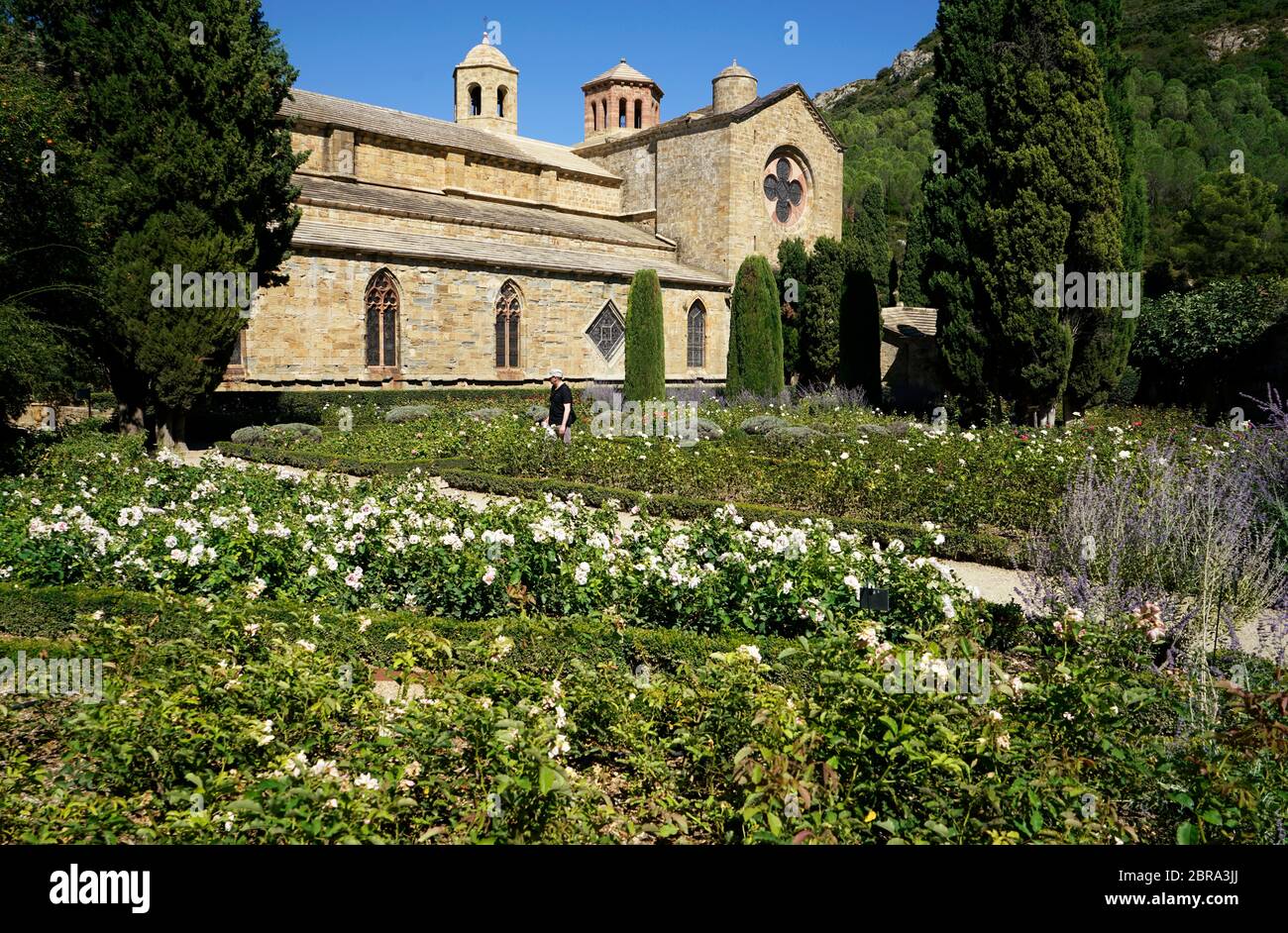 Kirche und Garten der Abtei Fontfroide ein ehemaliges Zisterzienserkloster in der Nähe von Narbonne.Aude.Occitanie.France Stockfoto