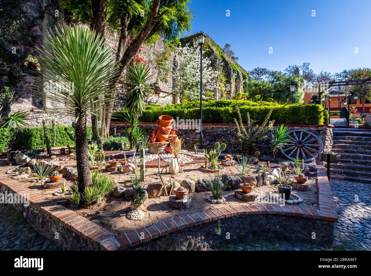 Der Kaktusgarten der Hacienda San Gabriel de Barrera in der Stadt Guanajuato, Mexiko. Stockfoto