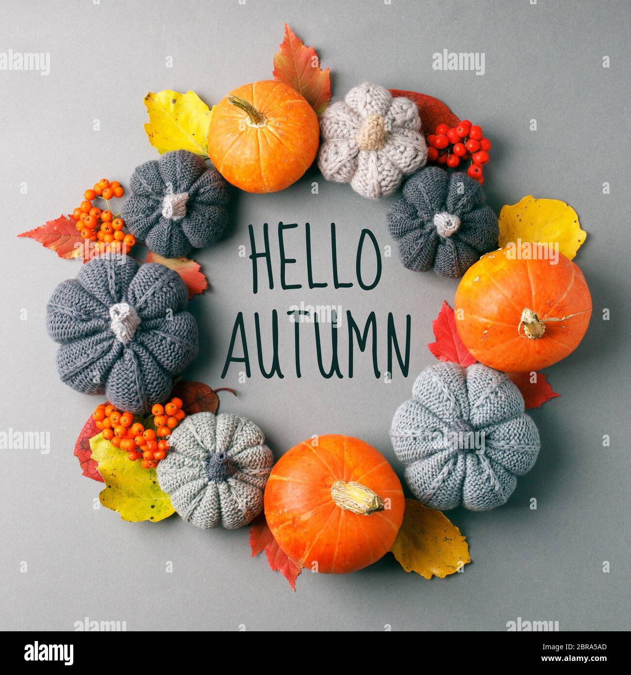 HALLO Herbst Rahmen mit trockenen Blättern, natürliche und dekorative Kürbisse Form von Kranz auf grauem Hintergrund, saisonale halloween, Erntedankfest Herbst Stockfoto