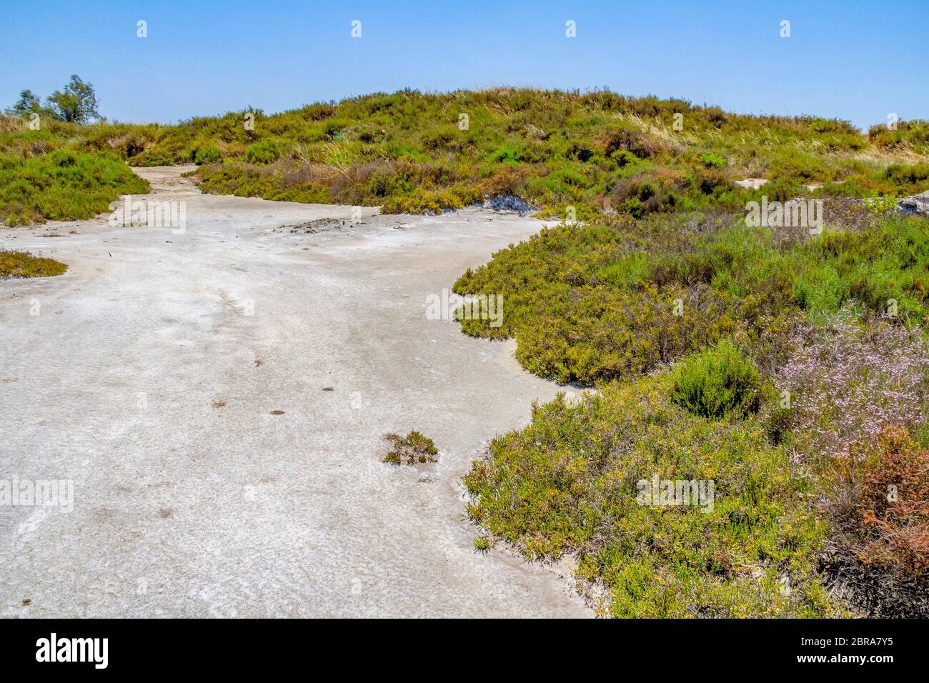 Landschaft um Salin-de-Giraud in der Camargue in Südfrankreich, welche befindet, viel Salz Verdunstungsteichen in sonnigem Ambiente Stockfoto