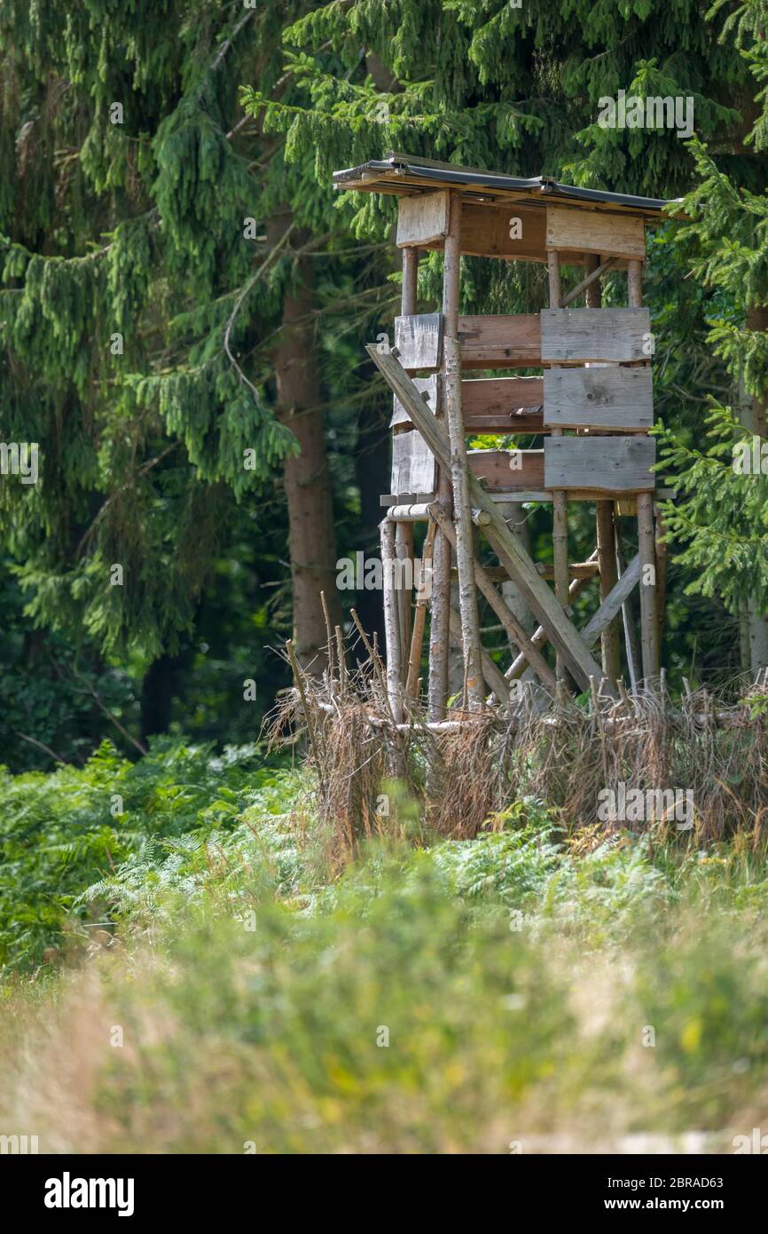 Hölzerner Huntsman hoher Sitz am Waldrand vor einer Wiese mit grünem Hintergrund Stockfoto