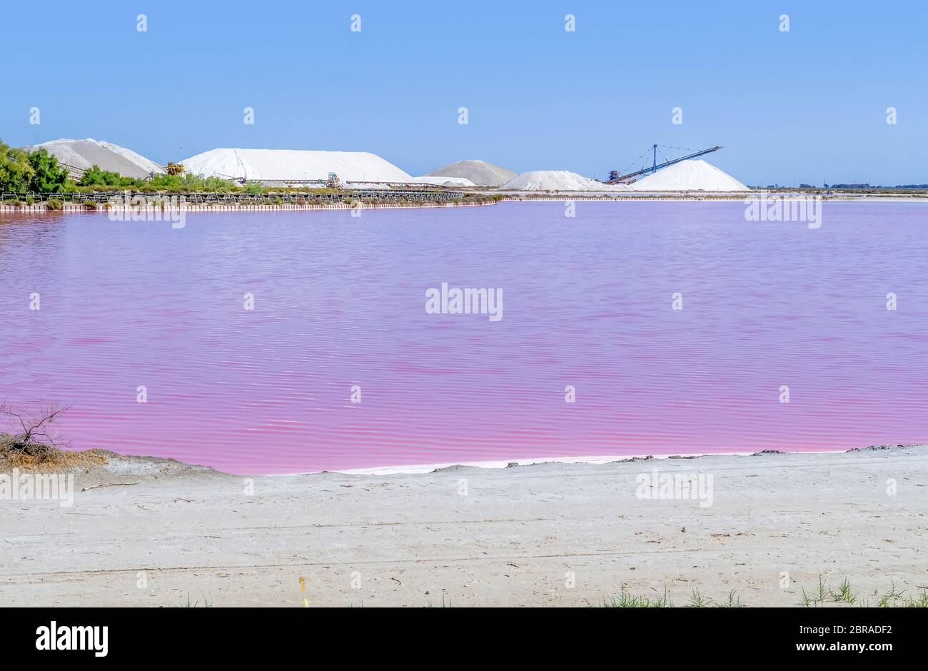 Saline Landschaft in der Camargue in Südfrankreich mit rosa Salz Verdunstung Teich im sonnigen Ambiente Stockfoto