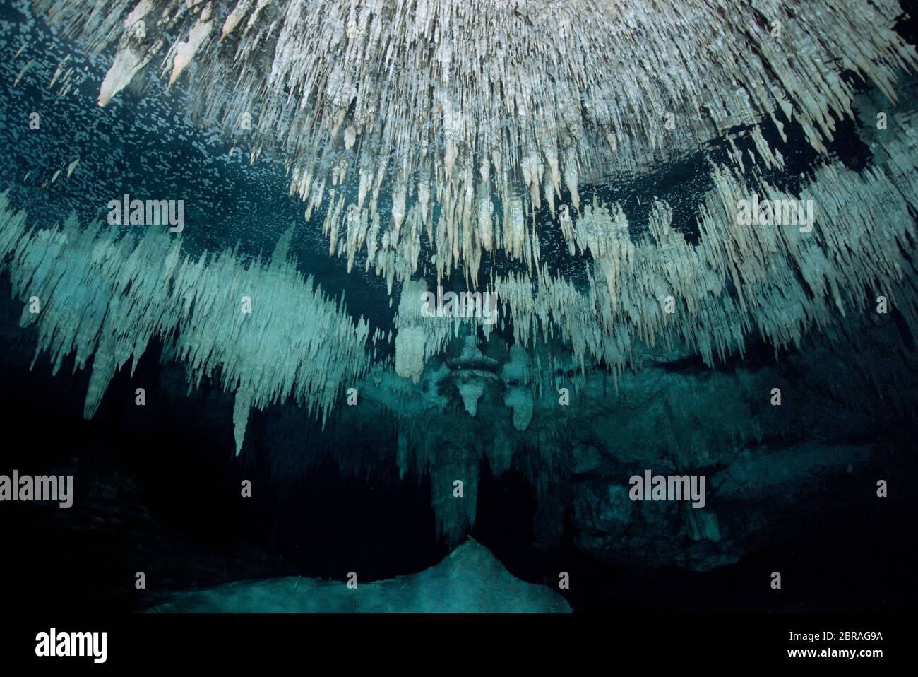 Einzigartige Kalksteinformationen im Cenote Dreamgate in Mexiko. Stockfoto