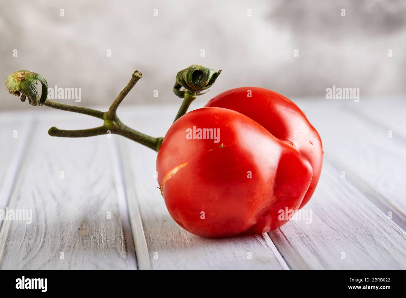 Hässliches Obst oder Gemüse. Stark fehlgeformte Mutante Tomate