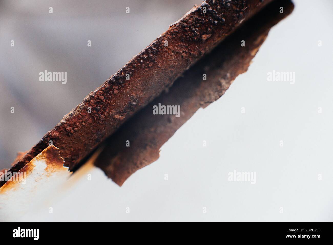 Metallschrott. Rost unter einem Anstrich. Weiße Farbe abgeschält. Korrosion an einer alten Satellitenschüssel. Nahaufnahme. Makro. Korrosion von Metall Stockfoto