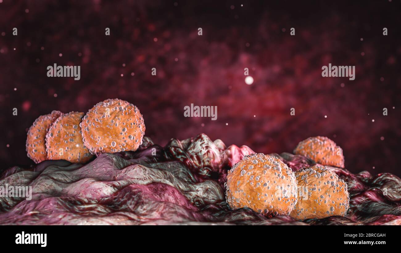 Wissenschaft Foto von Bakterien Staphylococcus aureus Gram-positives, rundes Bakterium, das ein Mitglied der Firmicutes ist Stockfoto