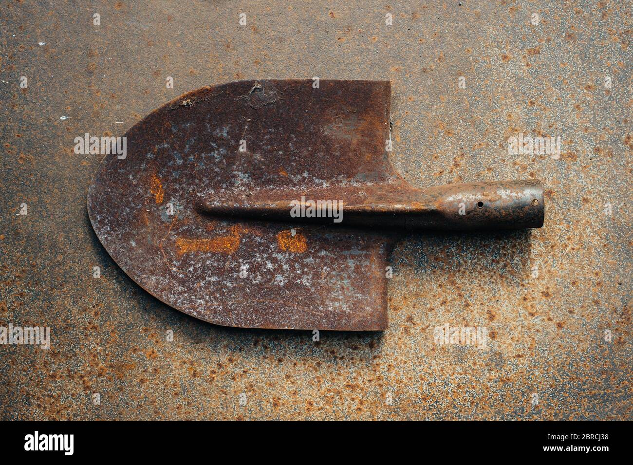 Alte rostige Bajonettspaten auf einem rostigen Eisenblech. Metallschrott. Nahaufnahme. Stockfoto