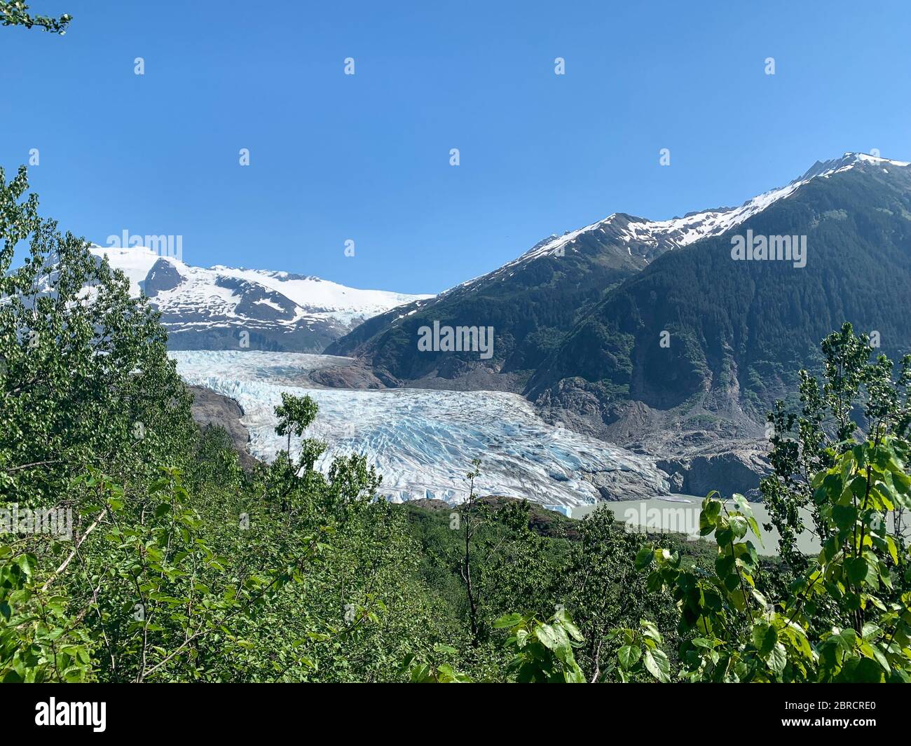 West Glacier Trail, Tongass National Forest, Juneau, Southeast Alaska, USA, windet sich durch Wälder, vorbei an Wasserfällen, zur Westseite von Mendenhall G Stockfoto