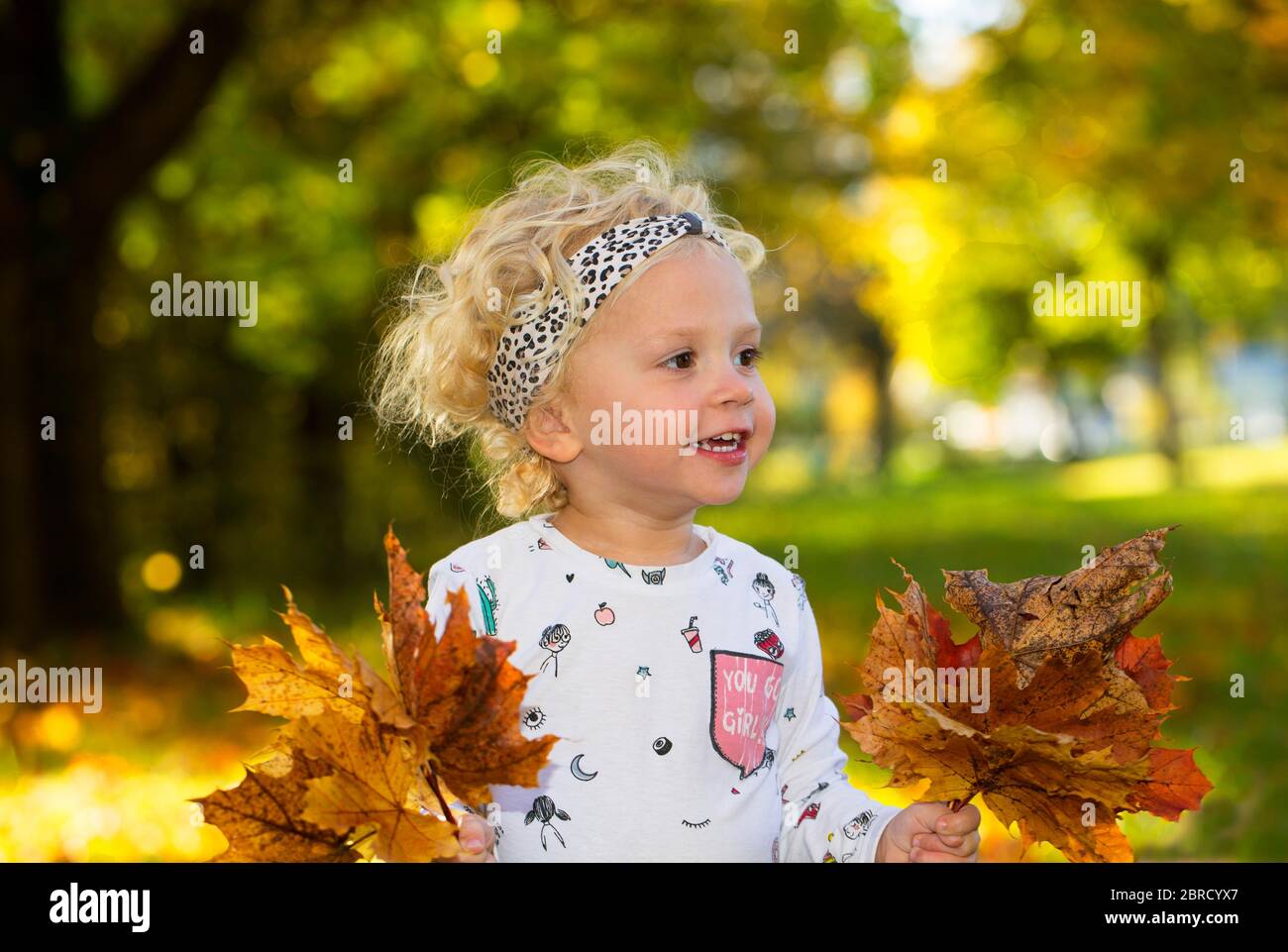 Fröhliches kleines Mädchen mit herbstlichen Ahornblättern in den Händen, Oberösterreich, Österreich Stockfoto