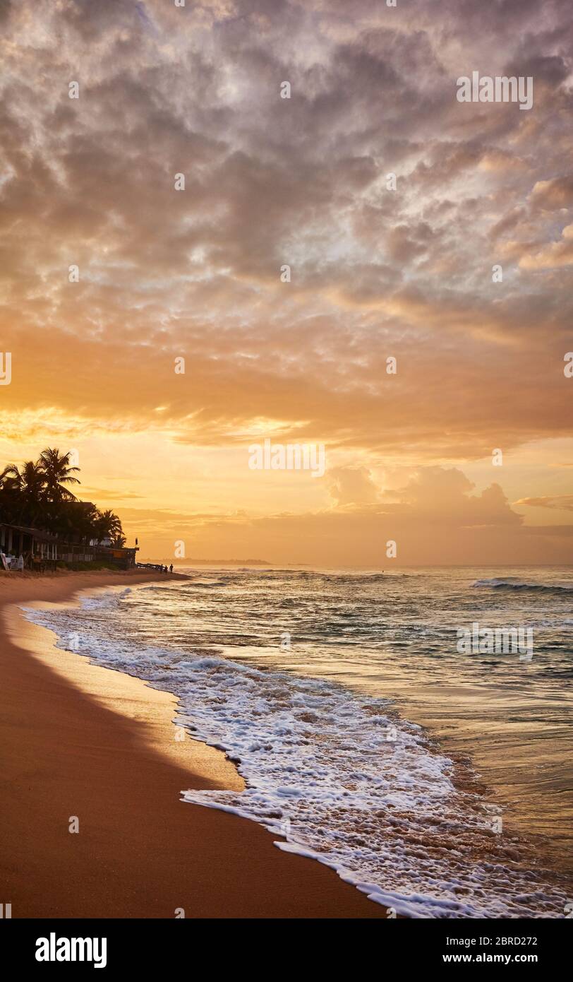 Tropischer ruhiger Strand bei Sonnenaufgang, Sri Lanka. Stockfoto