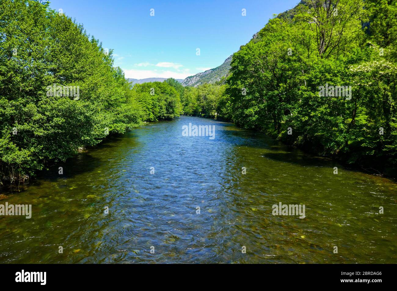 Frühling Grün und der Ariege Fluss fließt durch die Pyrenäen, Ariege, Französisch Pyrenäen, Frankreich Stockfoto