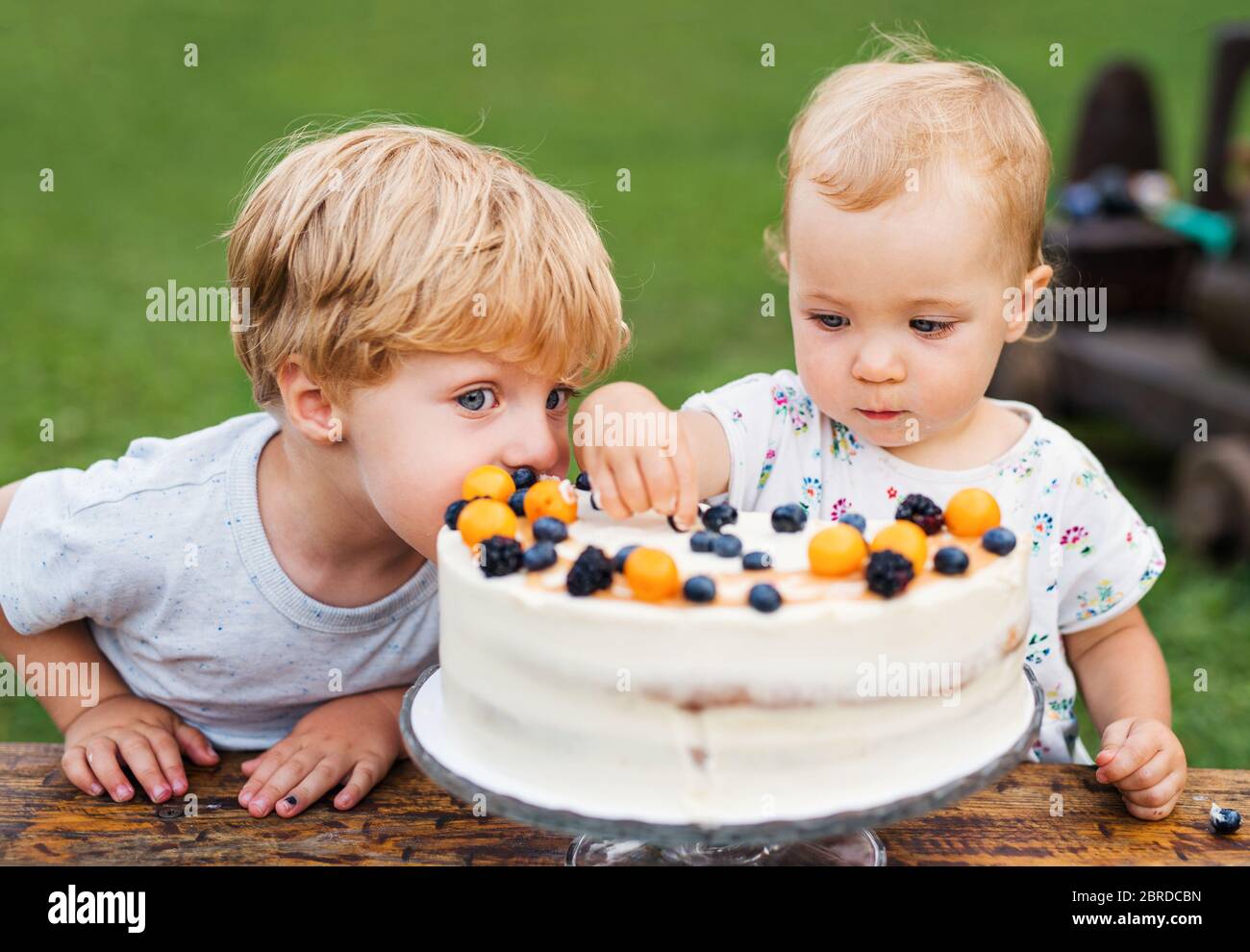 Zwei Kleinkinder mit Geburtstagskuchen im Garten im Sommer. Stockfoto