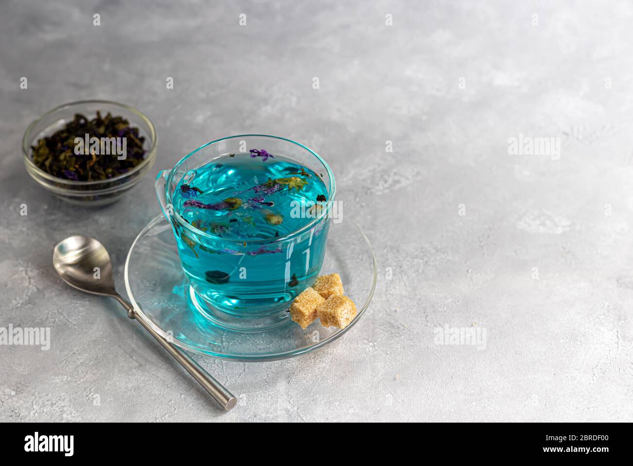 Eine Tasse heißen, blauen Tee mit Erbsenblüten. Blaue Erbsen. Für gesundes Trinken, entgiften den Körper. Grauer Hintergrund. Kopierbereich Stockfoto