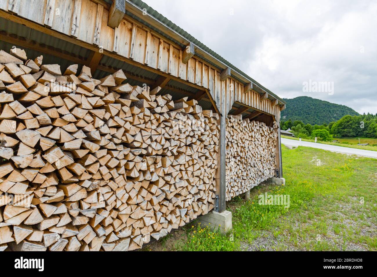 Baumstämme Pfahl, die Holzfäller Holz Wald Holzindustrie. Breites Banner oder Panorama von Holzstämmen Holzernte im Wald. Stockfoto