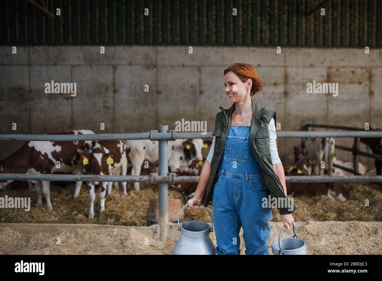 Frau Arbeiter mit Dosen arbeiten auf Tagebuchfarm, Landwirtschaft. Stockfoto