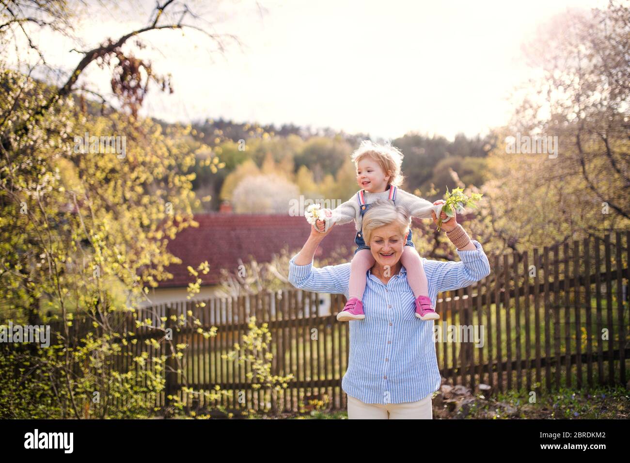 Ältere Großmutter mit Kleinkind Enkelin in der Natur im Frühjahr stehen. Stockfoto