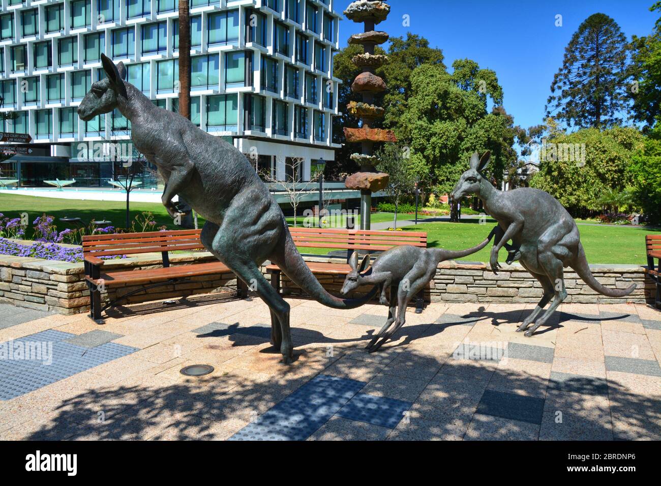 PERTH, WESTERN AUSTRALIA – 20. SEPTEMBER 2015: Känguru-Skulpturen in Stirling Gardens. Stirling Gardens sind die ältesten Gärten der Stadt Stockfoto
