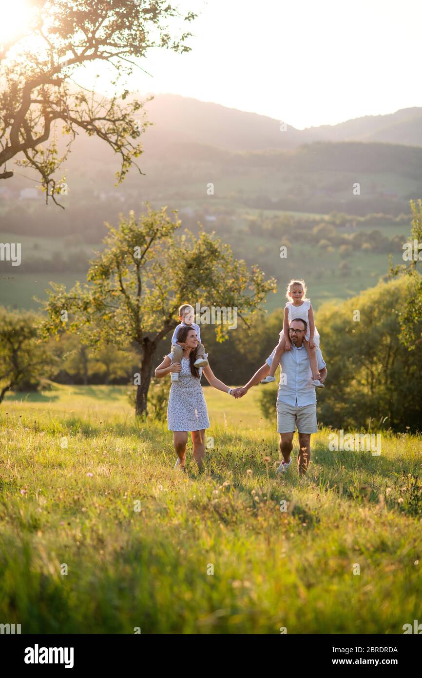 Familie mit zwei kleinen Kindern, die bei Sonnenuntergang auf der Wiese im Freien spazieren. Stockfoto